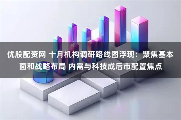 优股配资网 十月机构调研路线图浮现:聚焦基本面和战略布局 内需与科技成后市配置焦点