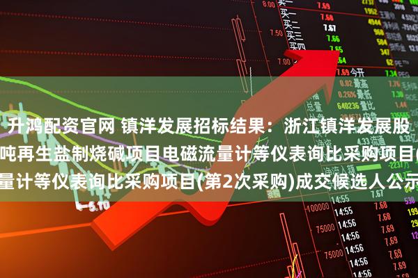 升鸿配资官网 镇洋发展招标结果:浙江镇洋发展股份有限公司年处理10万吨再生盐制烧碱项目电磁流量计等仪表询比采购项目(第2次采购)成交候选人公示